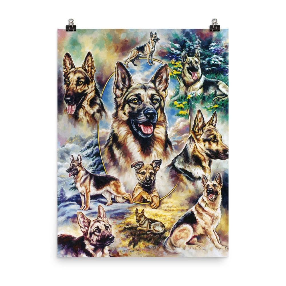 Photo paper poster: German Shepard