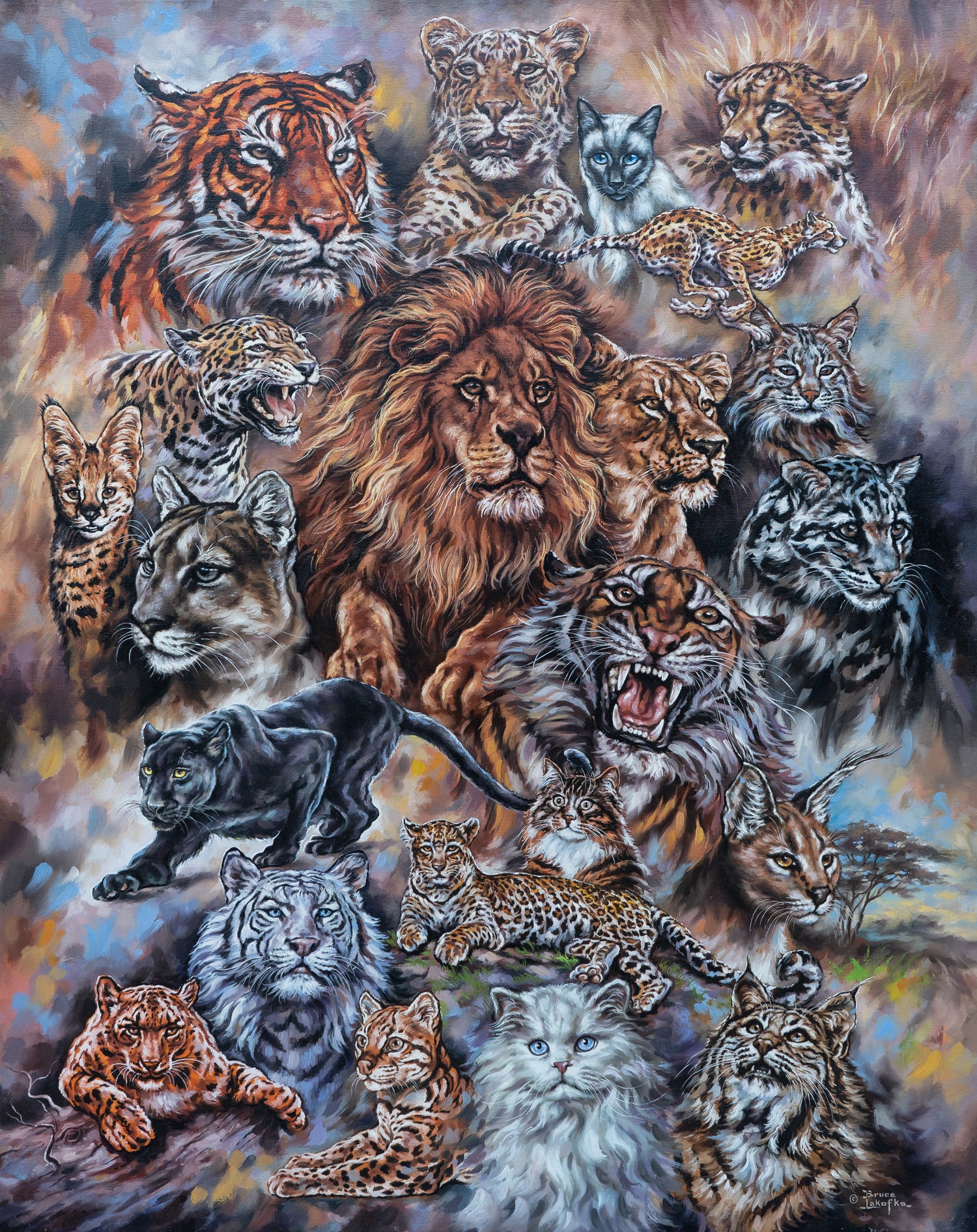 Meow! The Cat Family