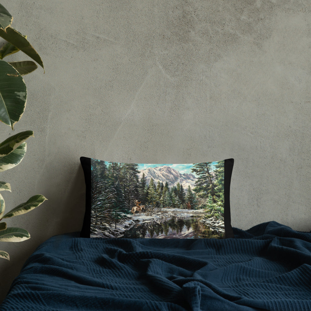 Pillow: Silent Encounter