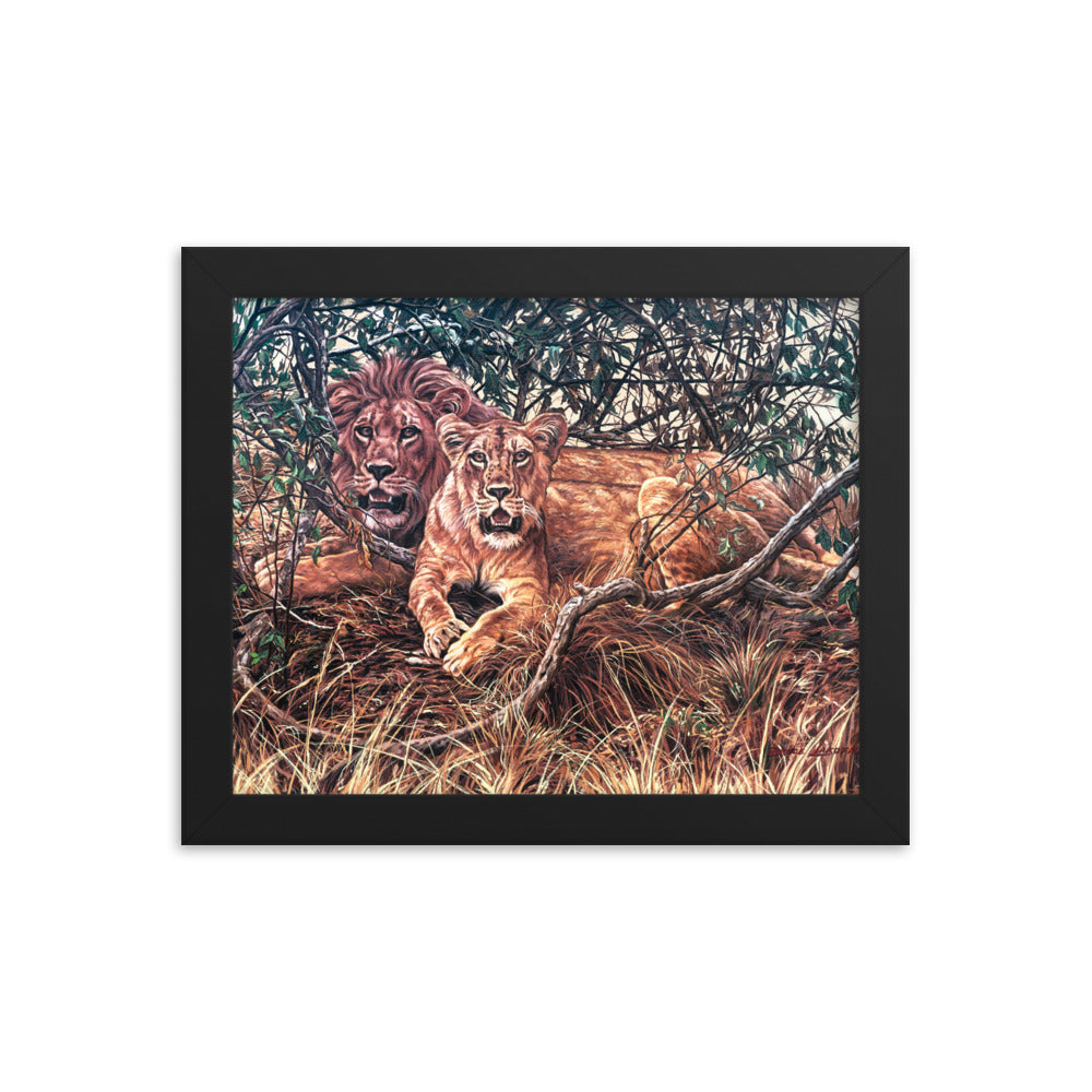 Framed photo paper poster: Afternoon Shade