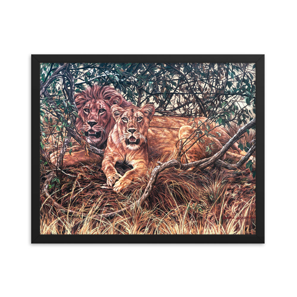 Framed photo paper poster: Afternoon Shade