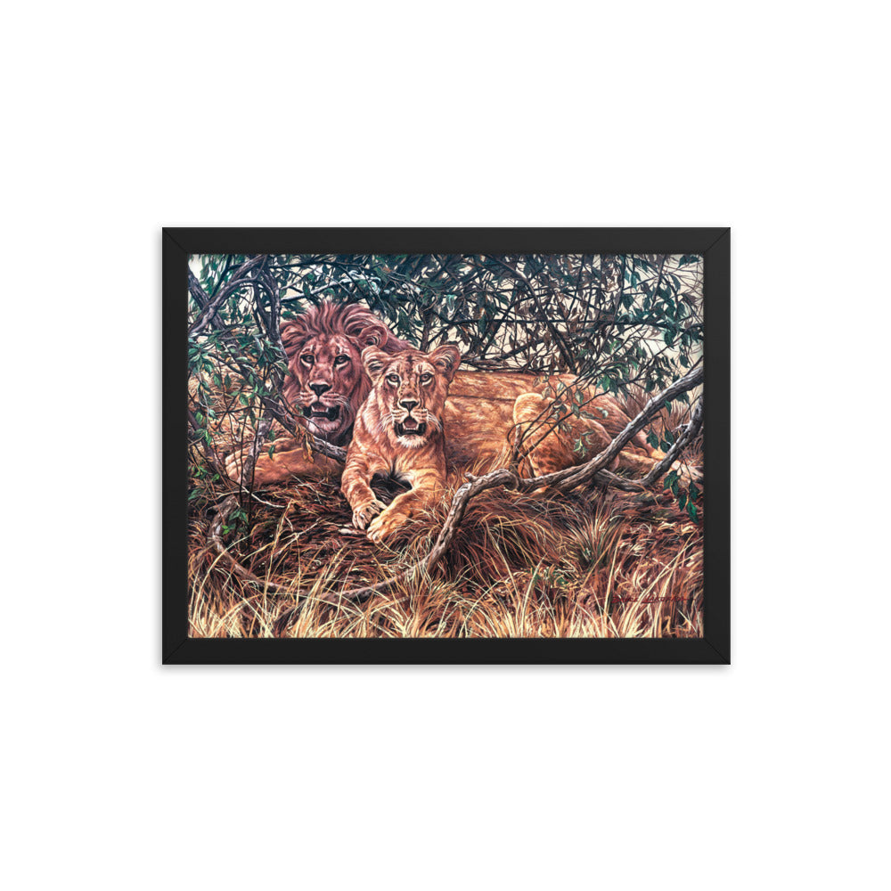 Framed photo paper poster: Afternoon Shade