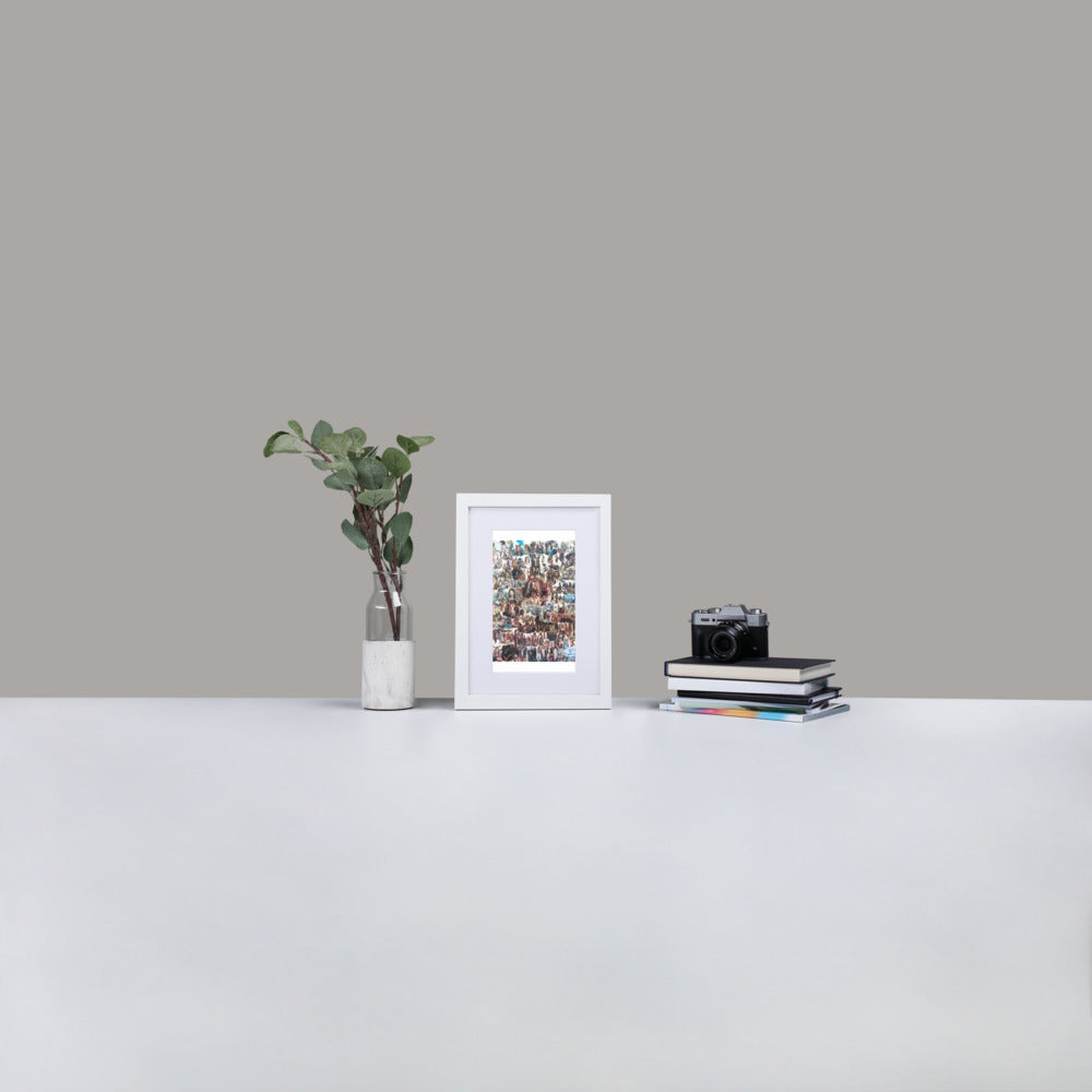 Matte Paper Framed Poster With Mat: Life Of Christ