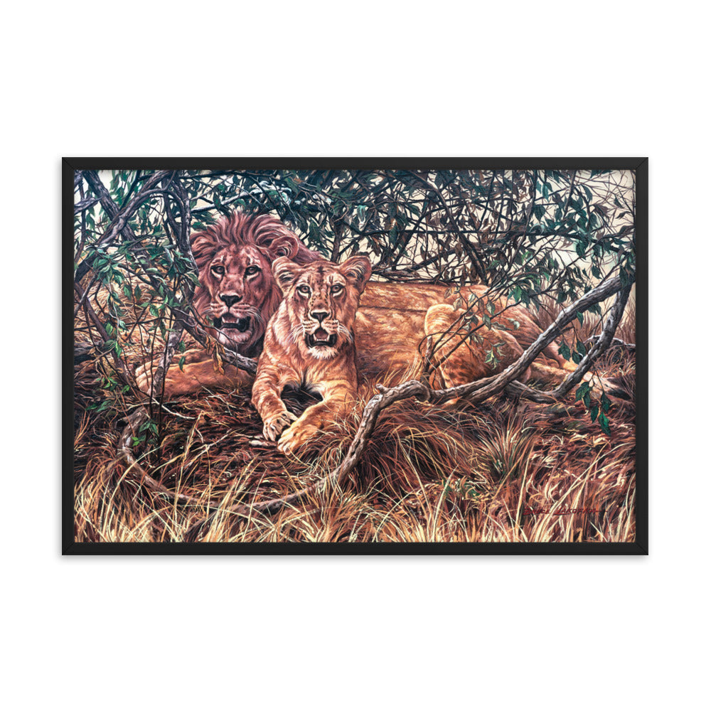 Framed photo paper poster: Afternoon Shade
