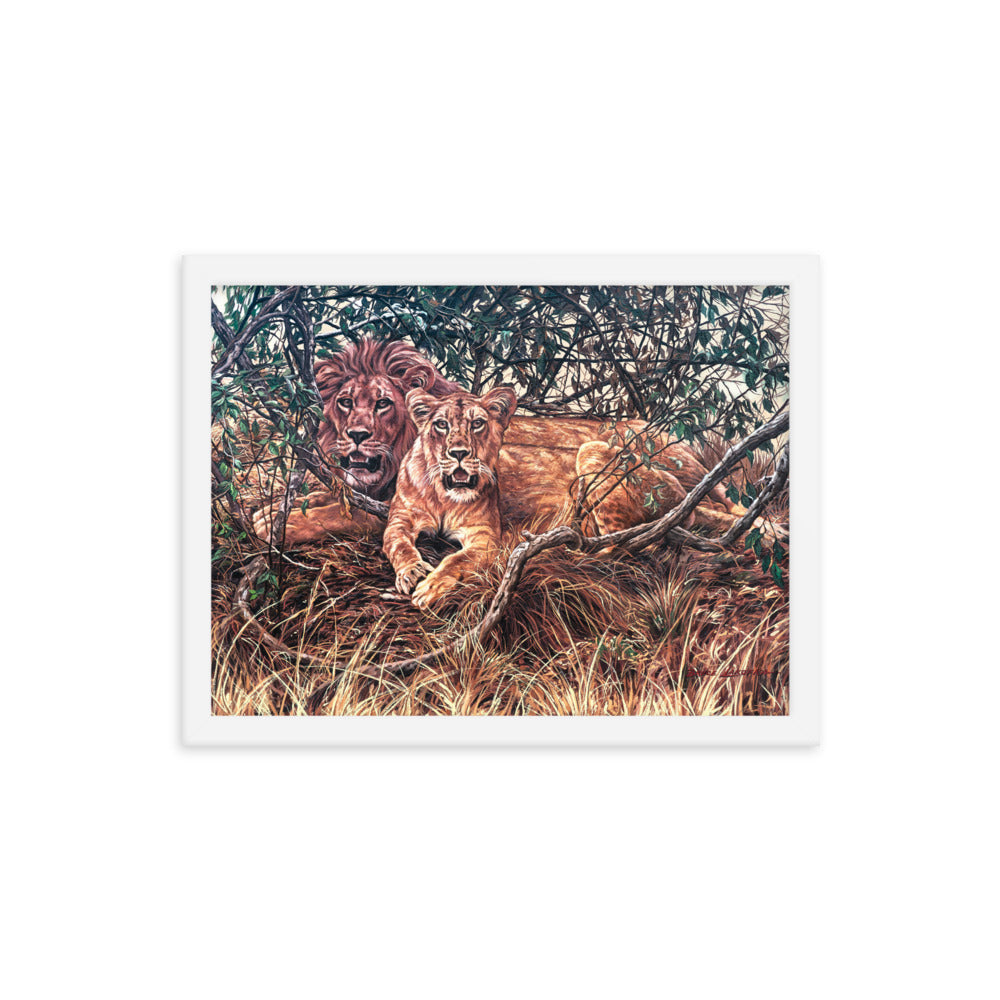 Framed photo paper poster: Afternoon Shade