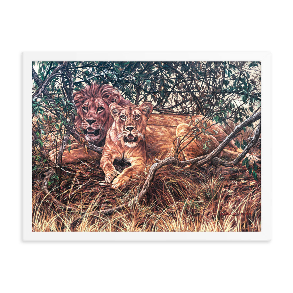 Framed photo paper poster: Afternoon Shade