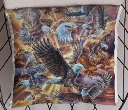 Basic Pillow: Eagle Dance