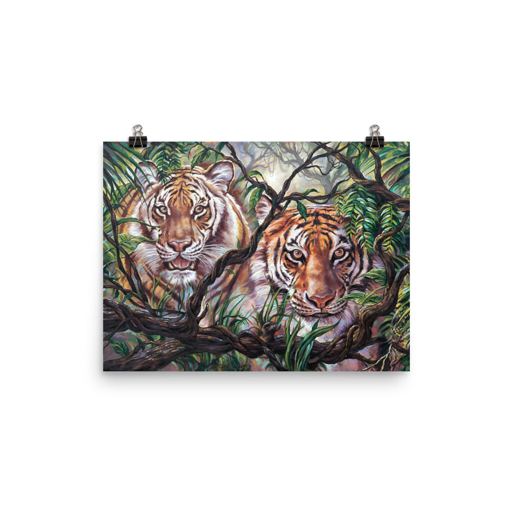 Photo paper poster: Eyes Of The Jungle
