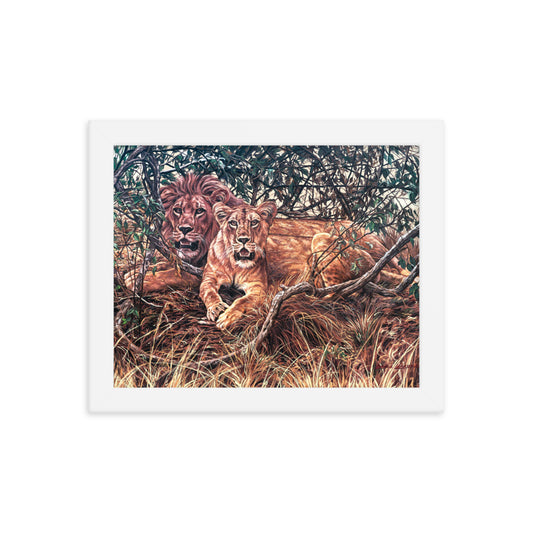 Framed photo paper poster: Afternoon Shade