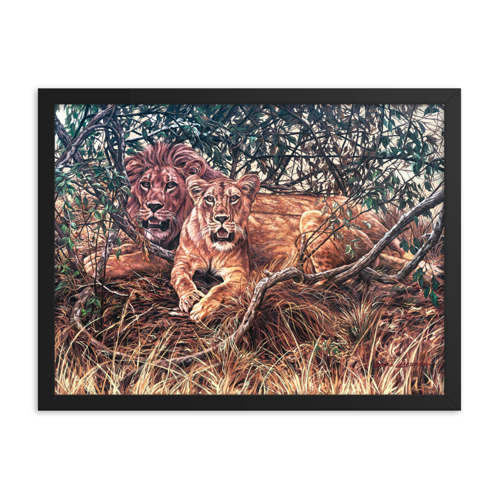 Framed photo paper poster: Afternoon Shade