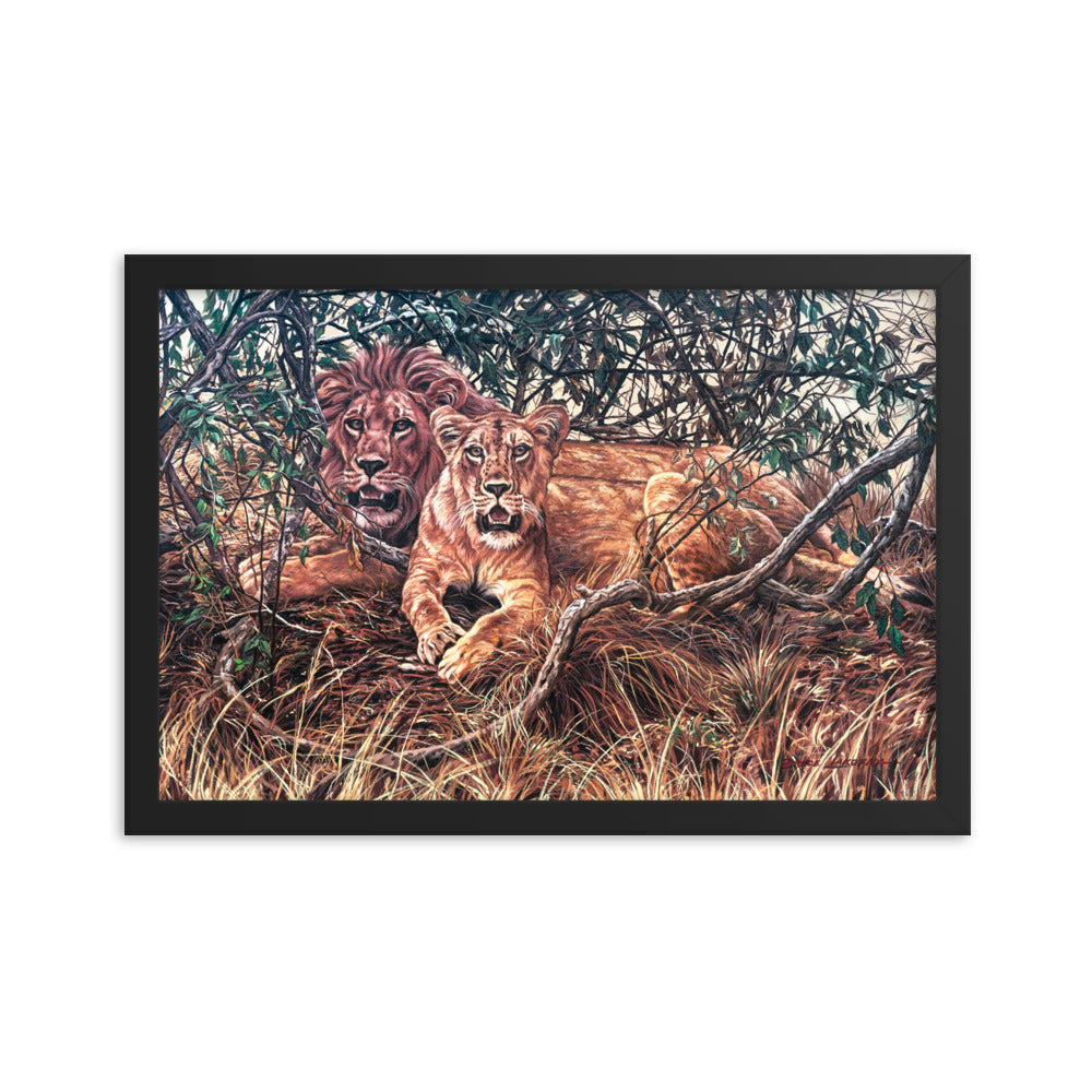 Framed photo paper poster: Afternoon Shade