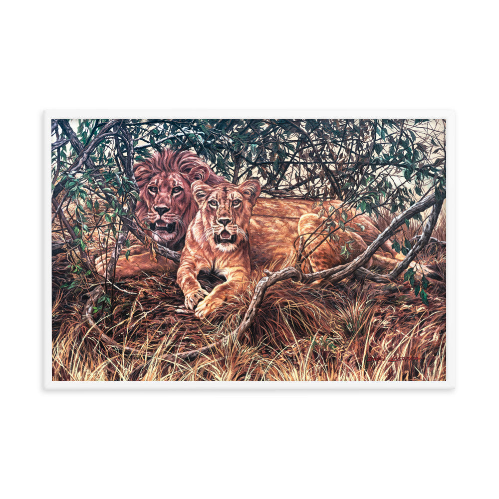 Framed photo paper poster: Afternoon Shade